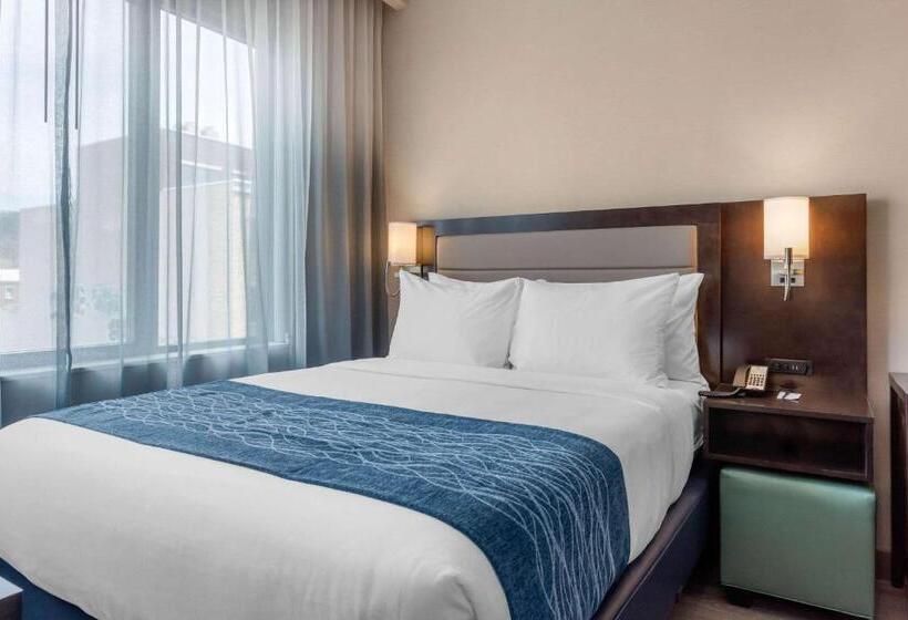Номер Стандарт, Comfort Inn Prospect Parkbrooklyn