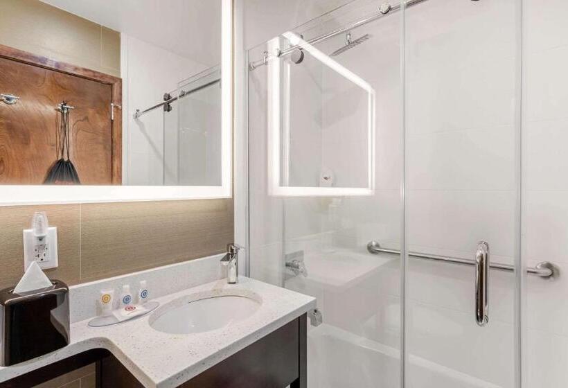 Номер Стандарт 2 Двуспальные Кровати, Comfort Inn Prospect Parkbrooklyn