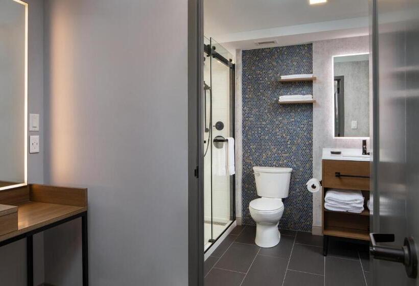 适合残疾人士使用的套间, Indigo Chattanooga   Downtown, An Ihg