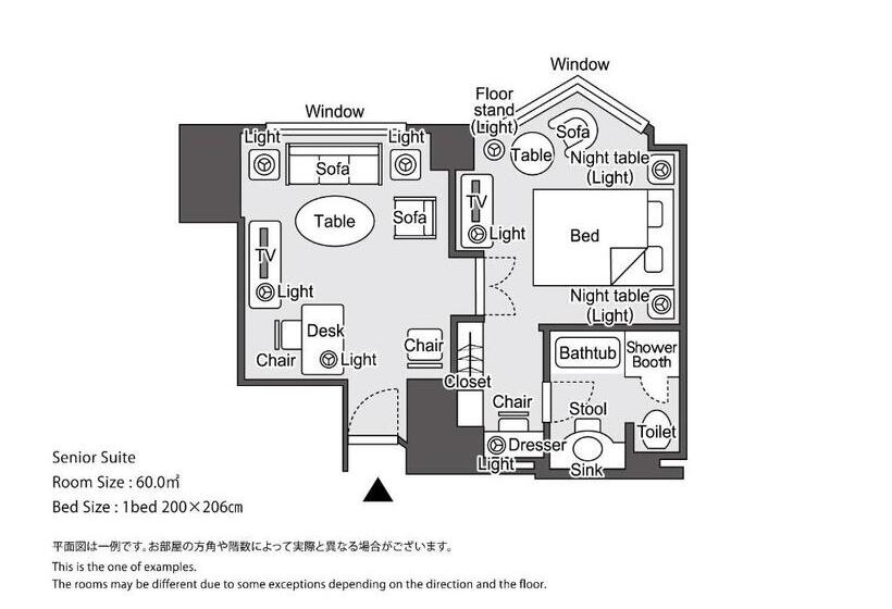 سوئیت سینیور, Hankyu International