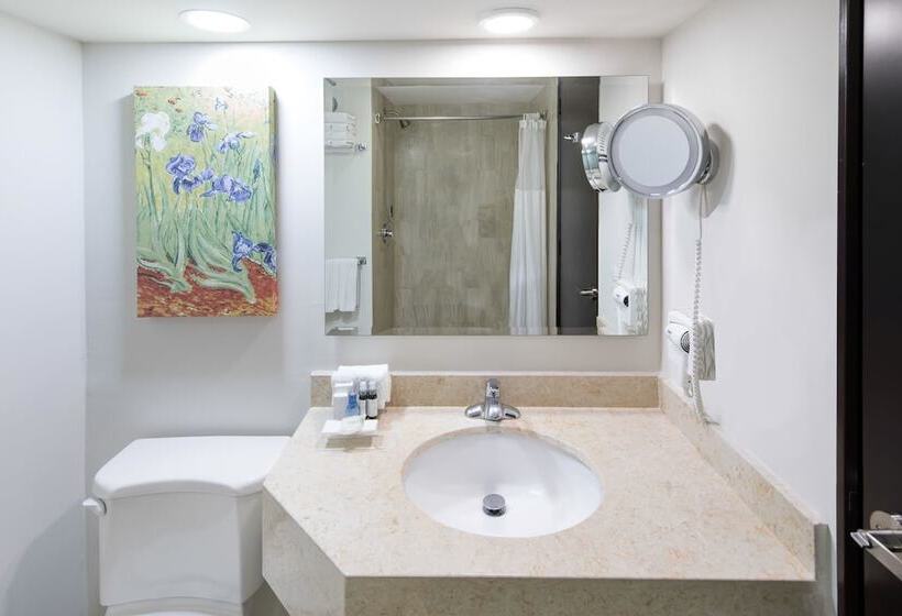 デラックスルーム, Wyndham Executivo Culiacan