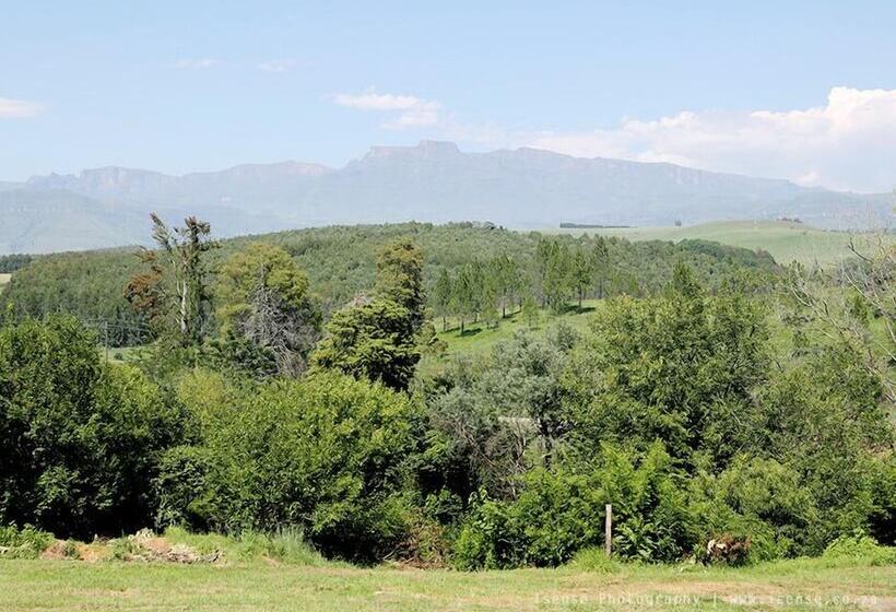 Президентский Люкс, The Nest Drakensberg Mountain Resort