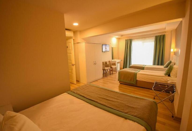 اتاق استاندارد سه نفره, Parion House