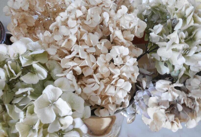 اتاق کلاسیک سه تخته, Rotdorn