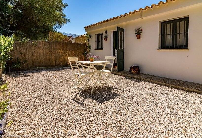 سوئیت کلاسیک, Cortijo El Indiviso