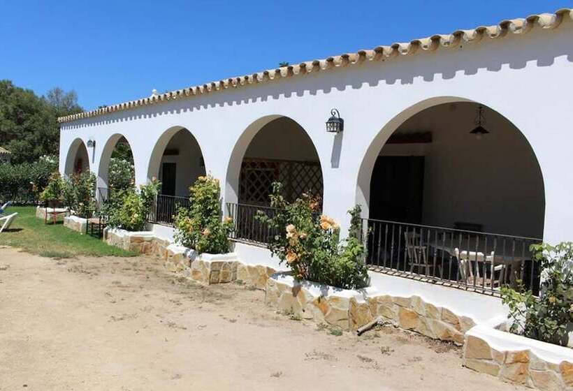 آپارتمان کلاسیک 1 خوابه, Cortijo El Indiviso
