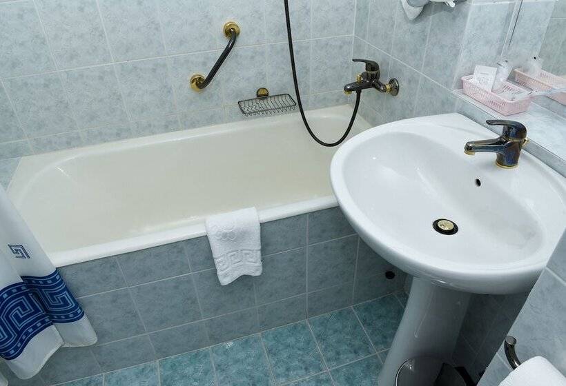 اتاق سوپریور یک تخته, Carpati Hotel Baia Mare