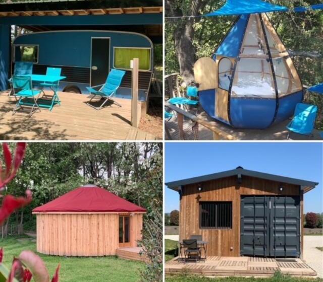 Standard Tent, Des Branches & Vous