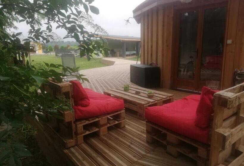 Standard Tent, Des Branches & Vous