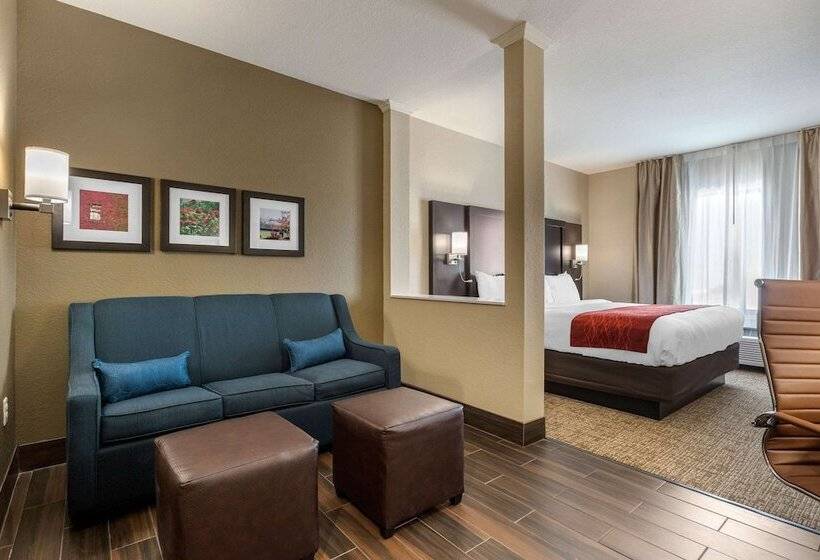 Люкс, Comfort Inn & Suites Cedar Rapids Cid Eastern Iowa Airport