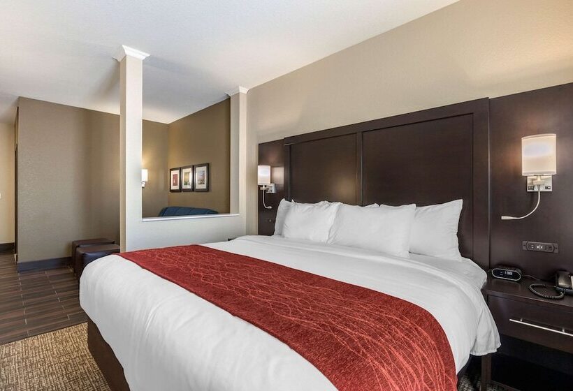Люкс Адаптированный для Инвалидов, Comfort Inn & Suites Cedar Rapids Cid Eastern Iowa Airport