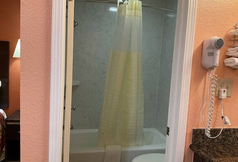 חדר סטנדרט מיטה זוגית, Budget Motel