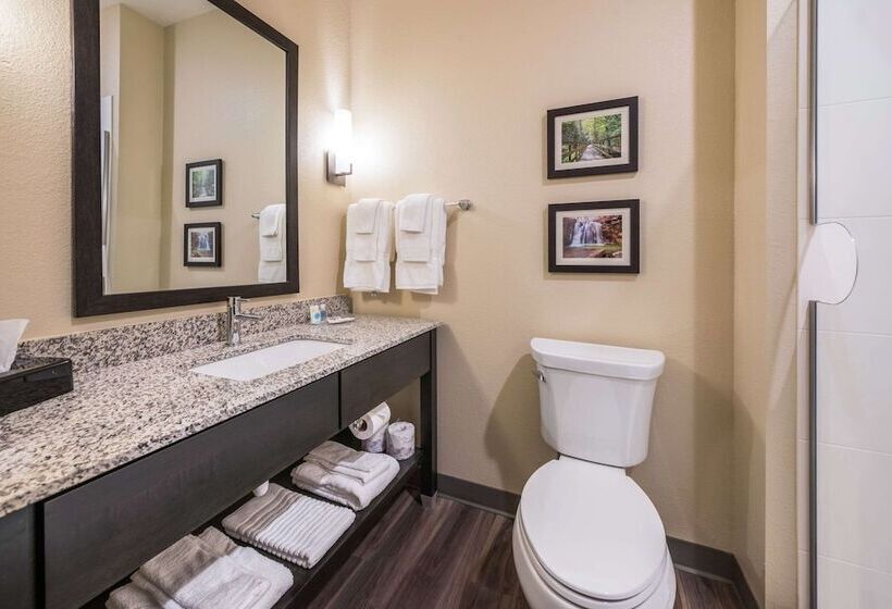 Люкс, Comfort Suites Marysville Columbus  Northwest