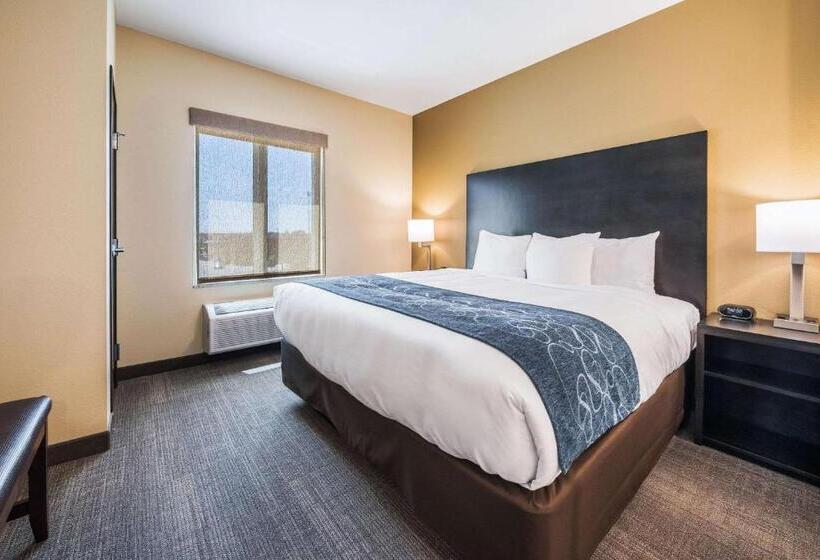 Люкс Кровать Кинг, Comfort Suites Marysville Columbus  Northwest