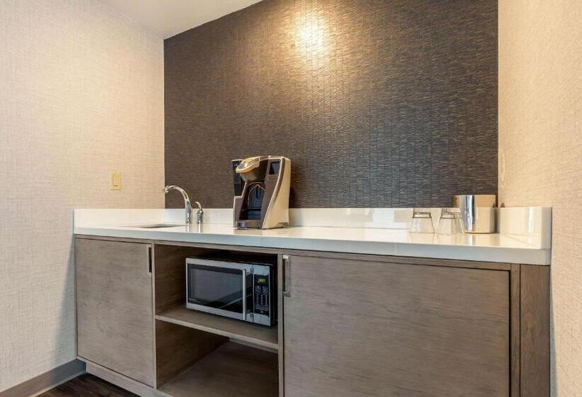 Люкс Адаптированный для Инвалидов, Cambria Hotel Milwaukee Downtown