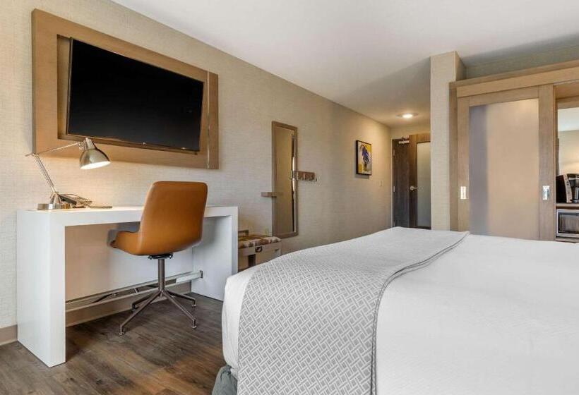 Номер Стандарт Кровать Кинг Адаптированный для Инвалидов, Cambria Hotel Milwaukee Downtown