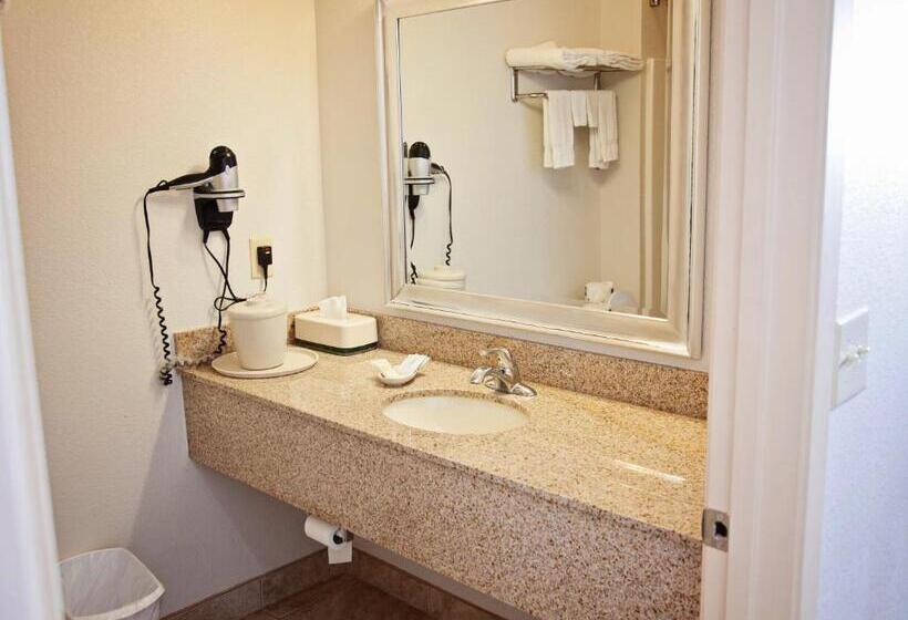 带大床的标准间, Big Lake Inn And Suites