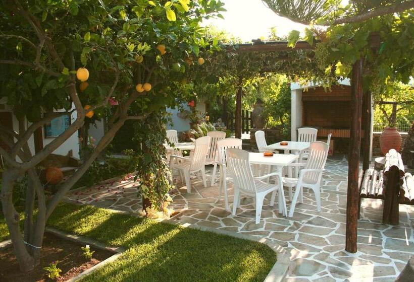 استودیوی استاندارد, Dimitra Studios