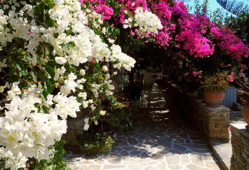استودیوی استاندارد, Dimitra Studios