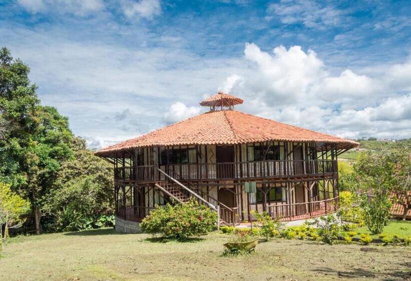 Номер Стандарт Трехместный, San Agustin Internacional