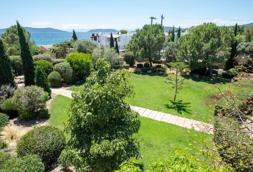 اتاق لوکس با چشم‌انداز باغ, 180 South Seaside