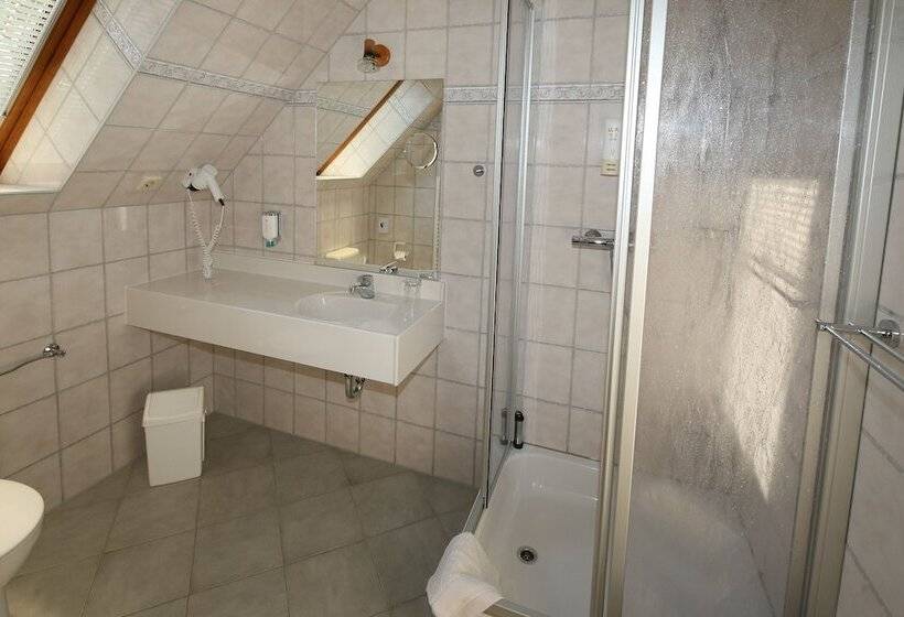 Номер Стандарт Индивидуальный, Wenzels Hof