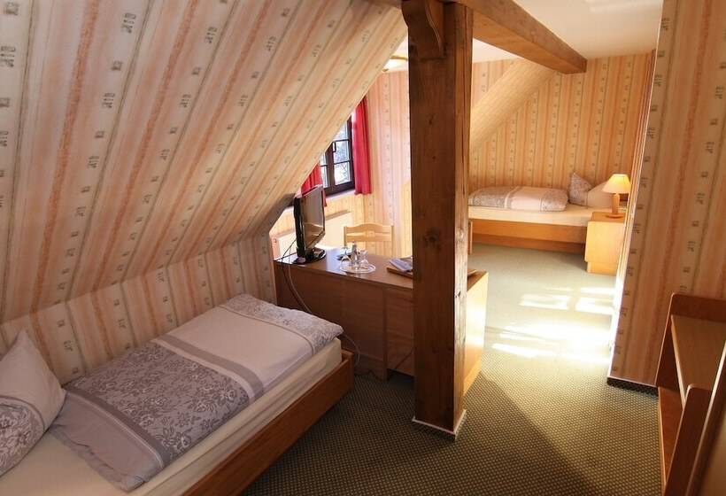 Номер Стандарт, Wenzels Hof