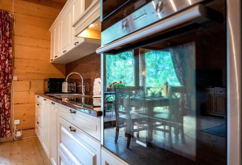 1 Bedroom Apartment Mountain View, Osada Kościelisko