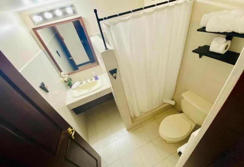 اتاق استاندارد با تخت بزرگ, Mango Airport