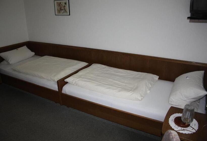 经济房, Gasthof Pension Hunaustuben