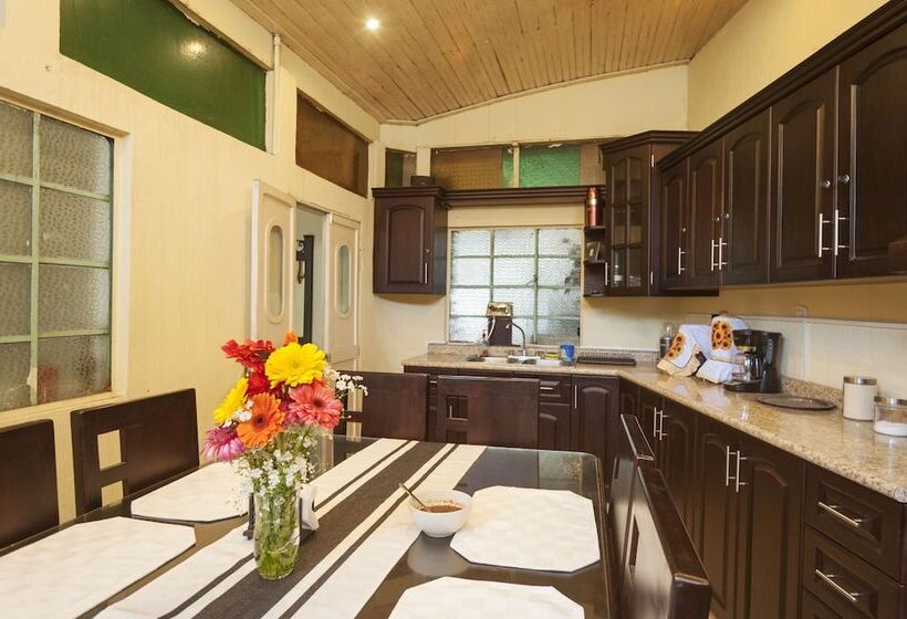 اتاق استاندارد, Vintage Casa Las Flores