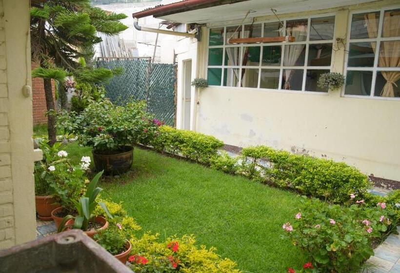 اتاق لوکس, Vintage Casa Las Flores