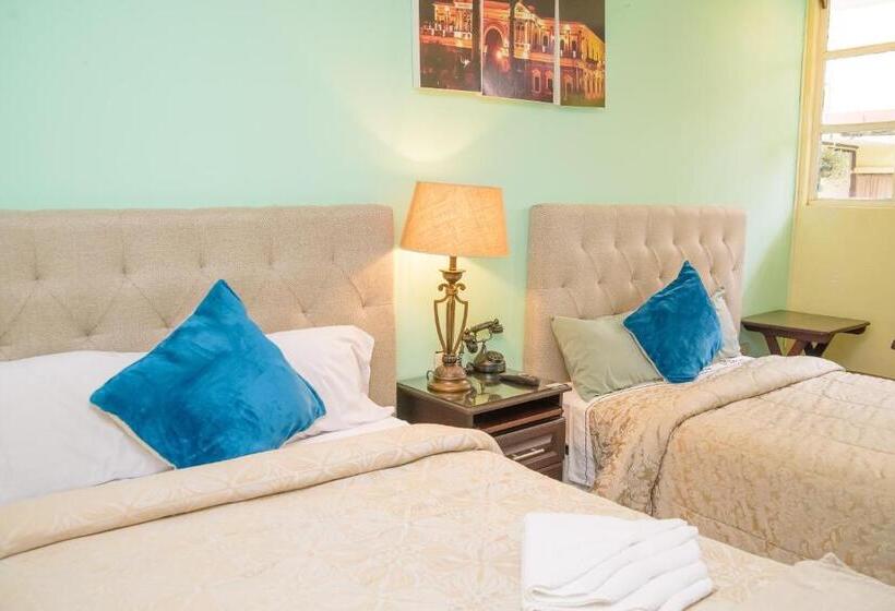 اتاق لوکس, Vintage Casa Las Flores