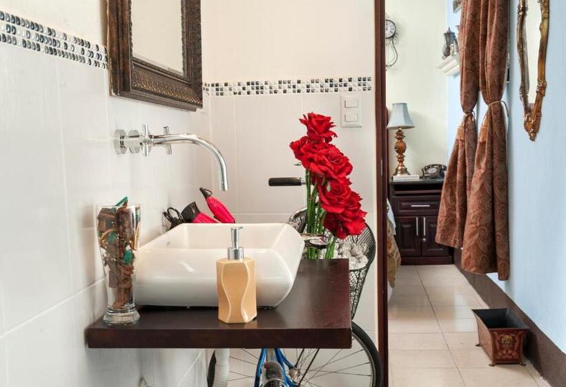 اتاق خانوادگی, Vintage Casa Las Flores