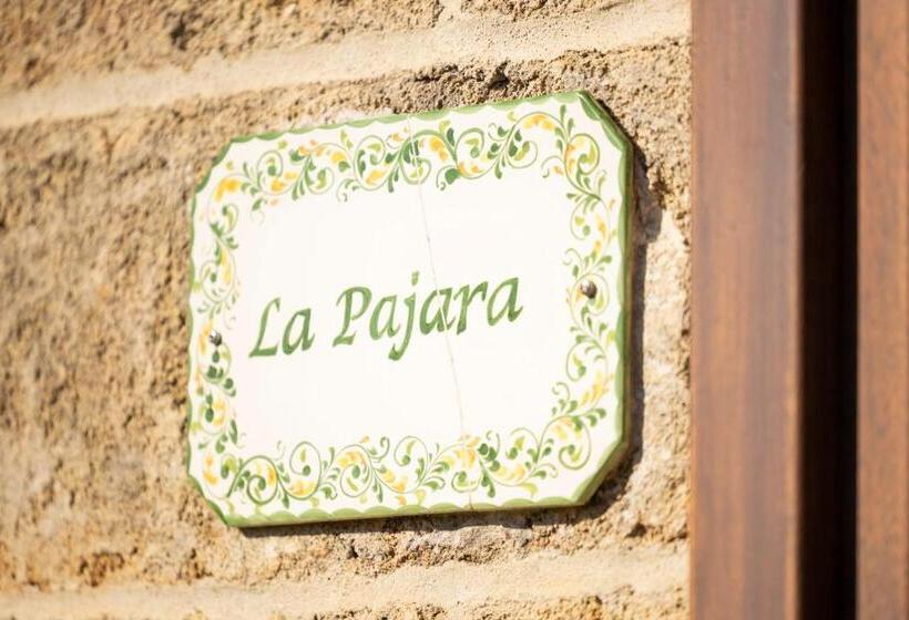 Quarto Estandar, Masseria Serine