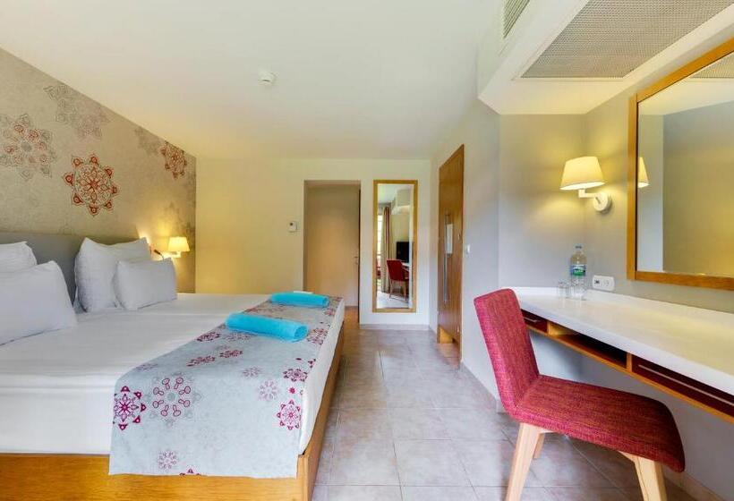 Quarto Economy, Robinson Camyuva   Adults Only