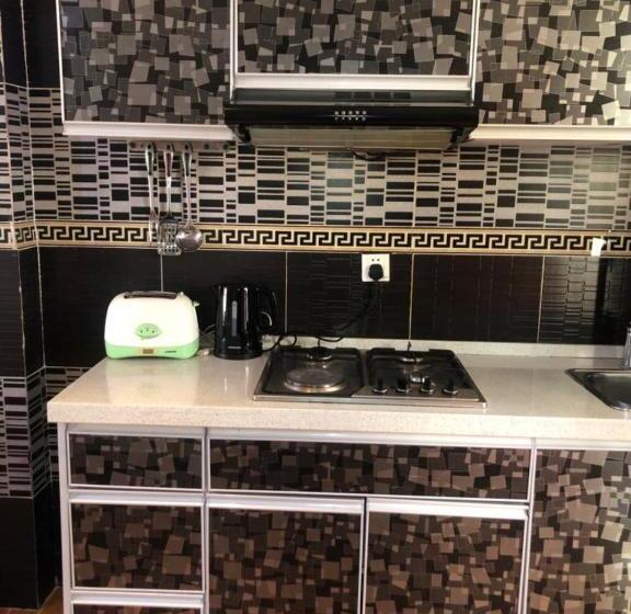 آپارتمان 2 خوابه, Emmad Furnished