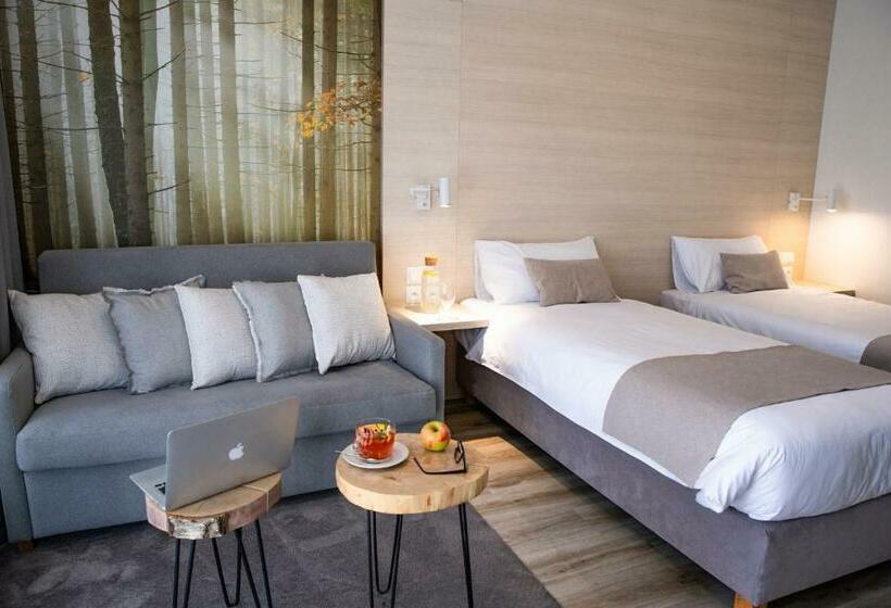 Номер Стандарт Индивидуальный, Notera Hotel Spa
