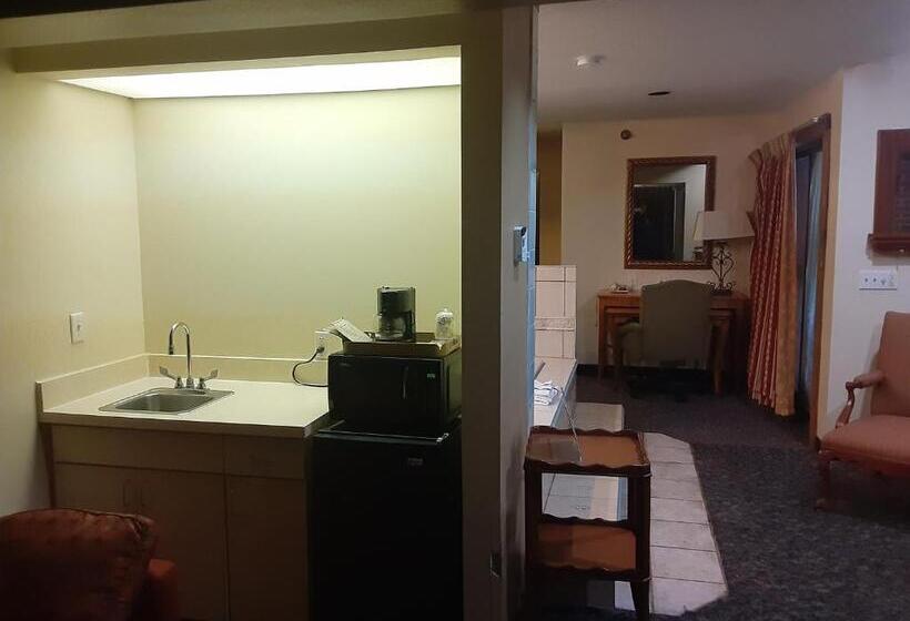 Президентский Люкс, American Inn And Suites Ionia