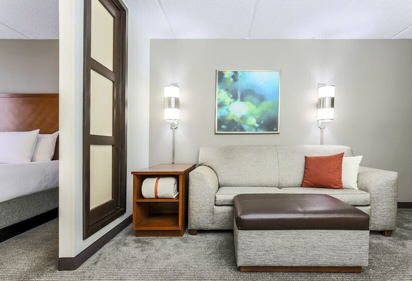 Номер Стандарт 2 Двуспальные Кровати, Hyatt Place Fort Worth/hurst