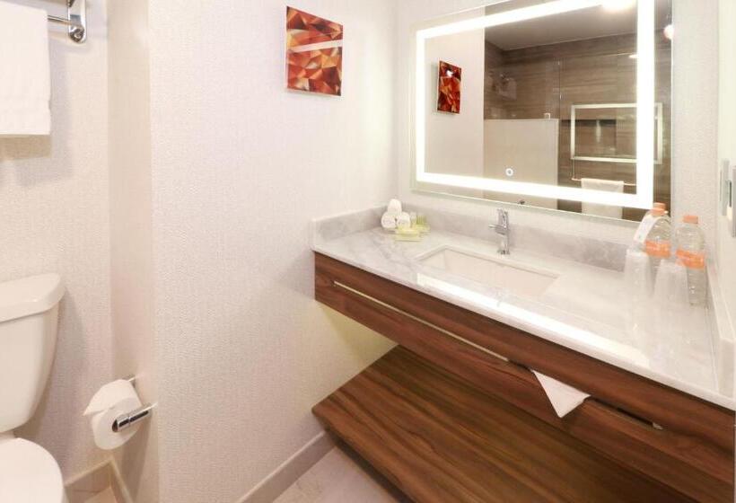スタンダードルーム, Holiday Inn & Suites   Monterrey Apodaca Zona Airport, An Ihg