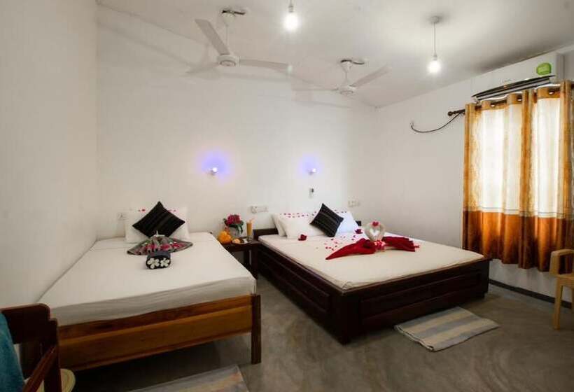 اتاق خانوادگی, The Surf Access Guest House