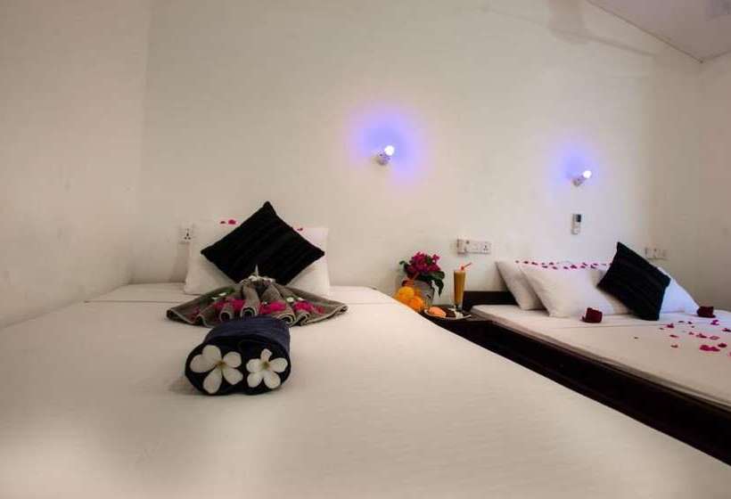 اتاق خانوادگی, The Surf Access Guest House