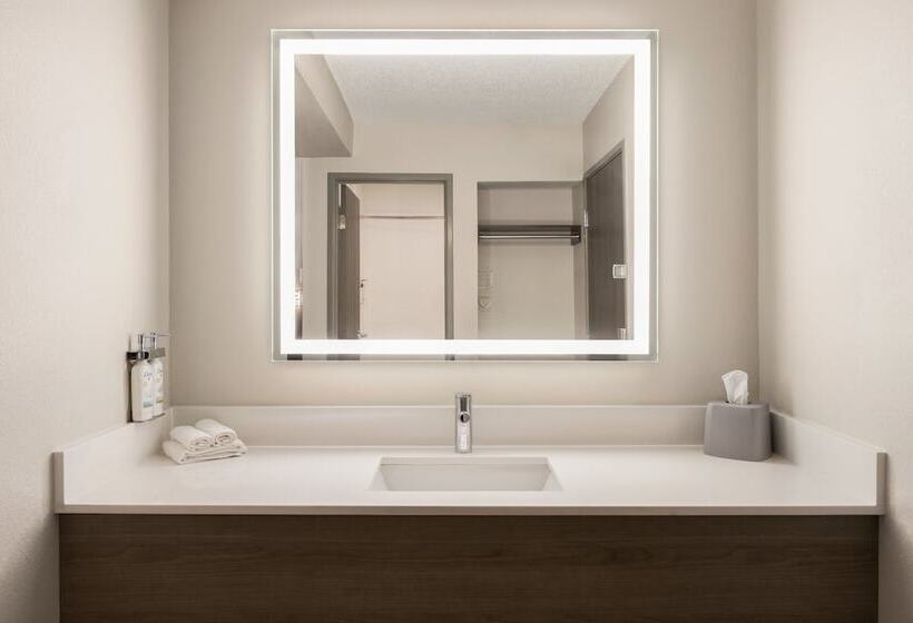 اتاق استاندارد با 2 تخت دوبل, Holiday Inn Express   Bowling Green, An Ihg