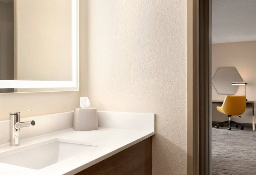 اتاق استاندارد, Holiday Inn Express   Bowling Green, An Ihg
