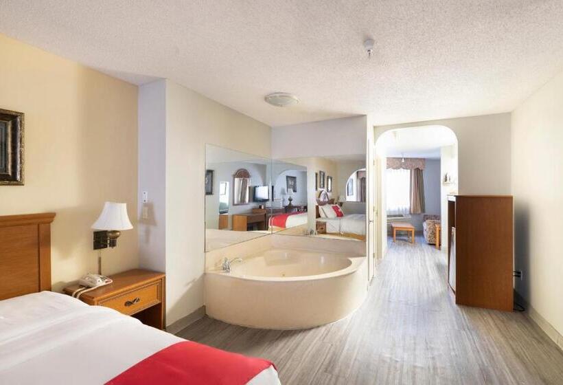 Номер Премиум, Red Roof Inn Stafford, TX