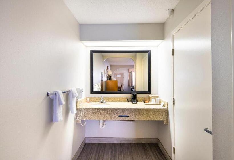 Номер Стандарт, Red Roof Inn Stafford, TX