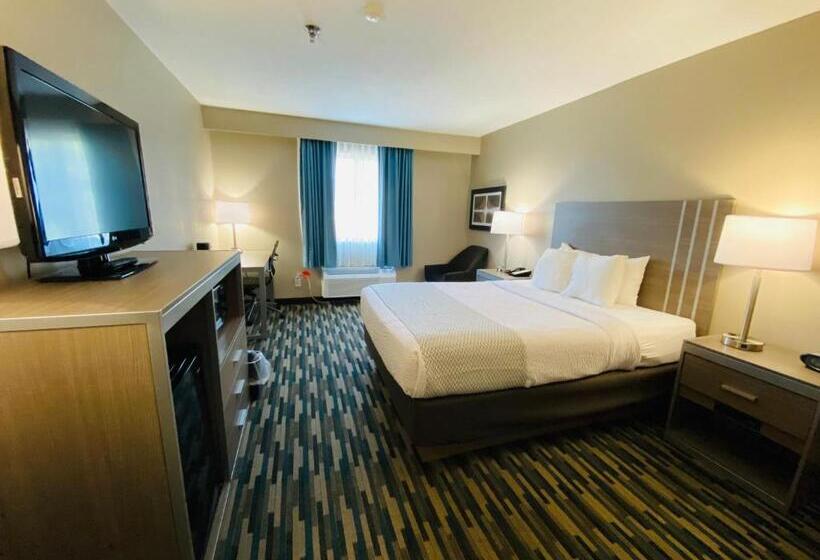 Camera Standard Pat King Adaptată pentru Discapacitaţi, Best Western Edinburgh/columbus