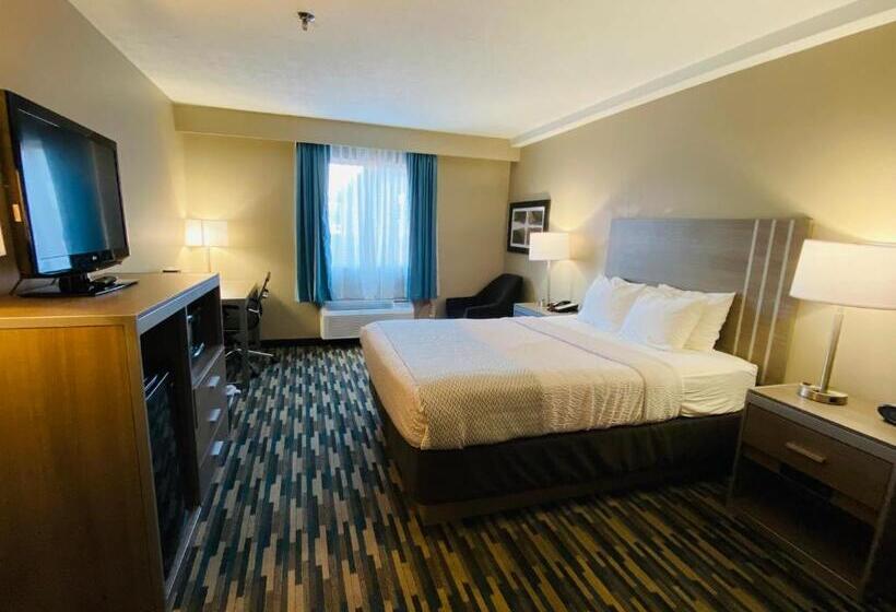 Camera Standard Pat King Adaptată pentru Discapacitaţi, Best Western Edinburgh/columbus