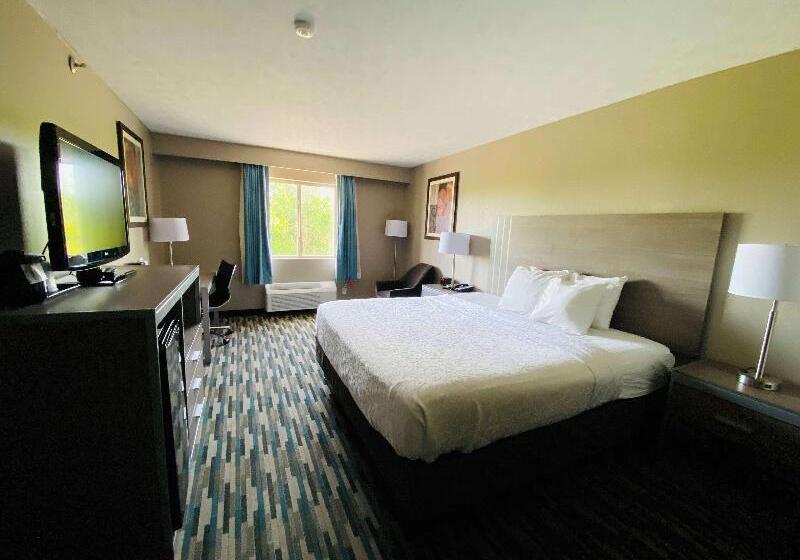 Cameră Standard Pat King Size, Best Western Edinburgh/columbus
